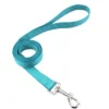 sky-blue-leash