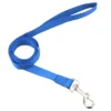 blue-leash
