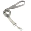 gray-leash