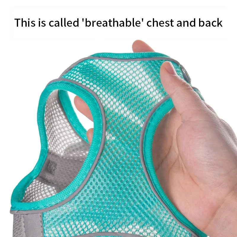 kf-S0e6b564a7a52429aa3856dacc9258ab8l-Dog-Harness-Leash-Set-for-Small-Dogs-Adjustable-Puppy-Cat-Harness-Vest-French-Bulldog-Chihuahua-Pug kf-S0e6b564a7a52429aa3856dacc9258ab8l-Dog-Harness-Leash-Set-for-Small-Dogs-Adjustable-Puppy-Cat-Harness-Vest-French-Bulldog-Chihuahua-Pug