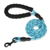 blue-rope