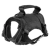 black-harness