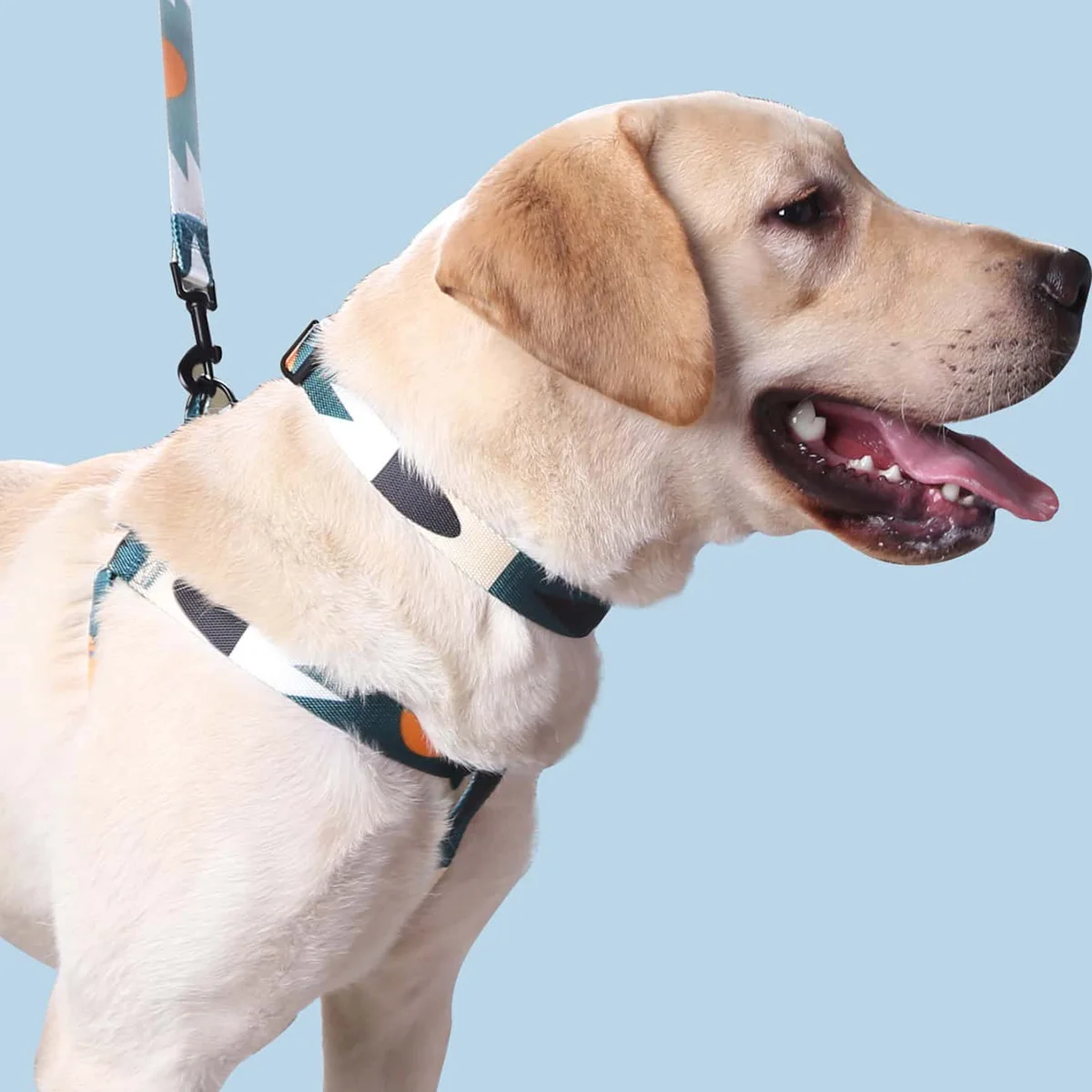 kf-S4c3276a9427447f5b095b69c99dd95b4x-Dog-Harness-and-Leash-Abstract-Patchwork-Colors-Comfortable-Adjustable-Size-Suitable-for-Dogs-Outdoor-Activities