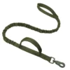 green-leash