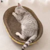 oval-cat-nest