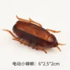 cockroach