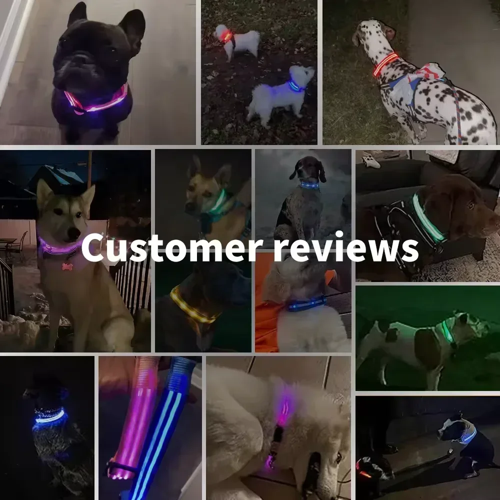 kf-S93dfac6f414d46e4a622967e3e887a47P-LED-Glowing-Dog-Collar-Adjustable-Flashing-Rechargea-Luminous-Collar-Night-Anti-Lost-Dog-Light-HarnessFor-Small kf-S93dfac6f414d46e4a622967e3e887a47P-LED-Glowing-Dog-Collar-Adjustable-Flashing-Rechargea-Luminous-Collar-Night-Anti-Lost-Dog-Light-HarnessFor-Small