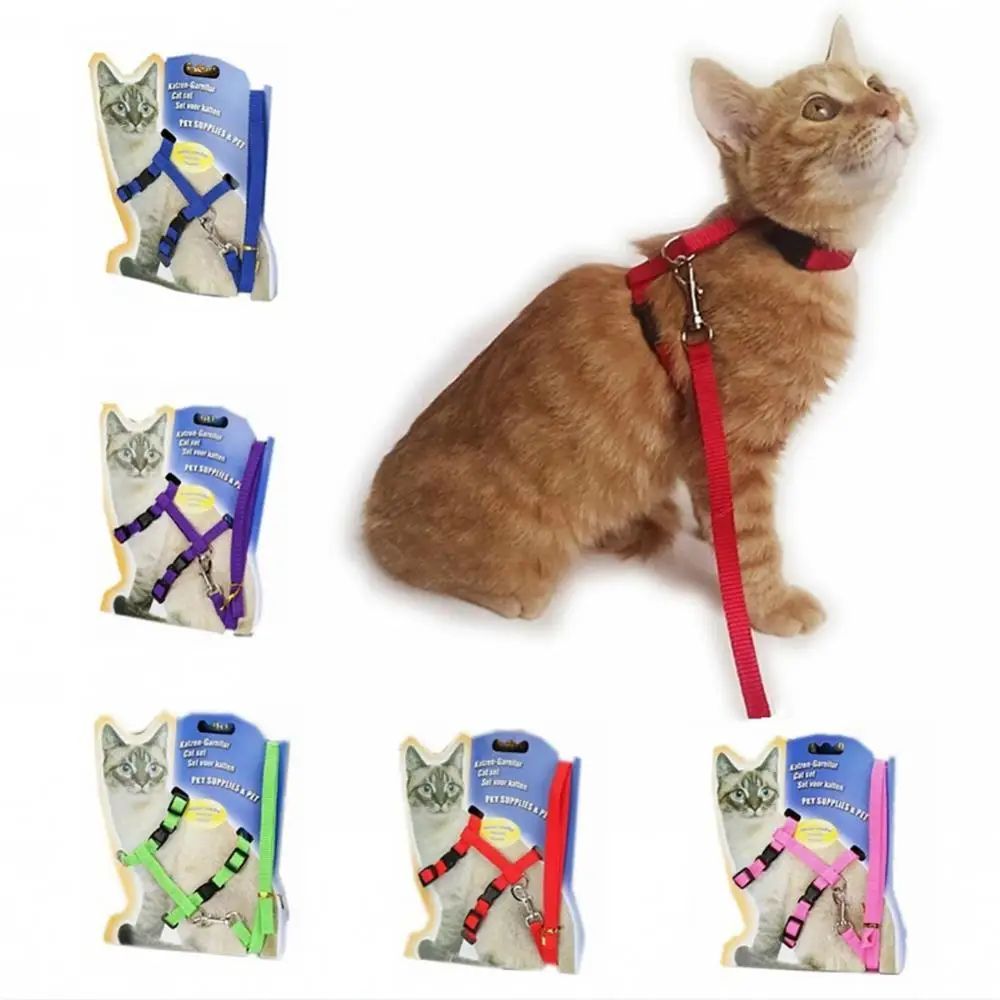 kf-Safb8b782dc9349b8b790054e4e868500D-Nylon-Safe-Leash-Adjustable-Pet-Lead-Harness-Kitten-Belt-Strap-Safety-Rope-Dog-Collar kf-Safb8b782dc9349b8b790054e4e868500D-Nylon-Safe-Leash-Adjustable-Pet-Lead-Harness-Kitten-Belt-Strap-Safety-Rope-Dog-Collar