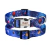 planet-21