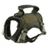 green-harness