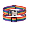 rainbow-20